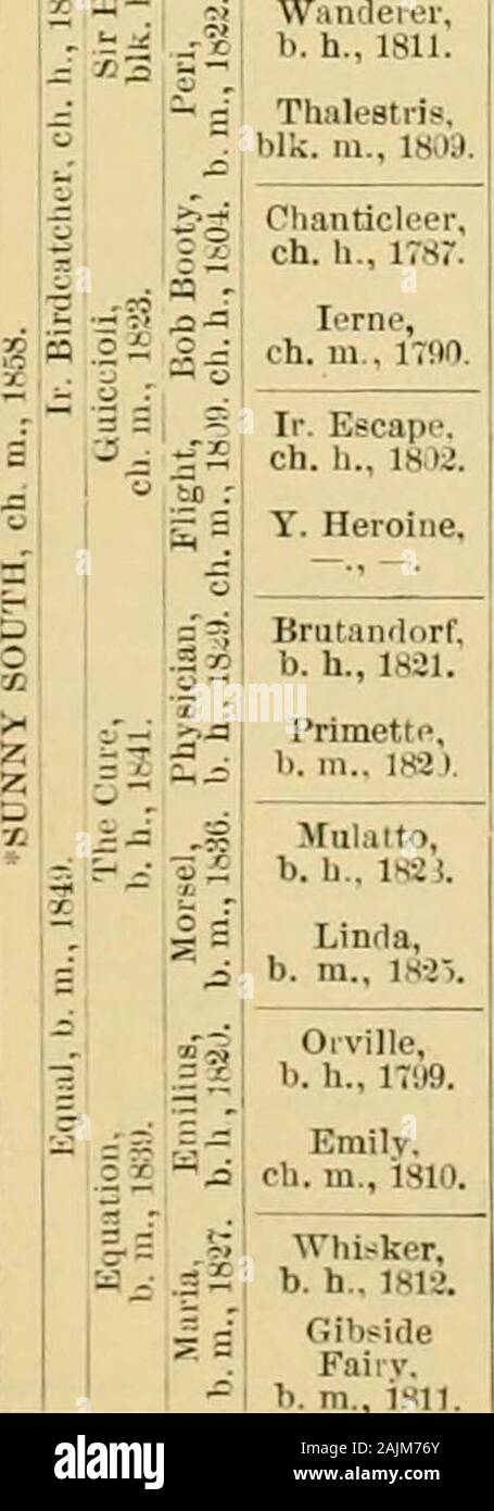 Il cavallo purosangue : la sua origine, come razza e come [a] selezionare lui : con gli allevatori di cavalli' guide : abbracciando un centinaio di tabulati delle genealogie dei principali riproduttori ... . 1)71-Fancy 17,s0 bv II n 1 io: ?? Llerod 17.)8)-Dan. 1763 dello spettatore 1749 (granchi 17i3)-Hovaiia 17&GT;sliv HIcik i; lii (..id. Ar. 17*4l. Pot-S-o-s 1773 (Eclipse iri)4( Maria 1777 da Erode 1758 (Tartaro 1743)-Lieette 1772 bvSnap 1750 (Snip 1736(-Miss Windsor 1754 da Dio. Ar. 1734-Sist. di volontariato byY. Belgrado (Belgrado Turk). Trumpator 17.^2 (conduttore 1767)-PrnneUa 1788 da Highflyer 1774 (Erode 17.5Si -promessa !7() Foto Stock