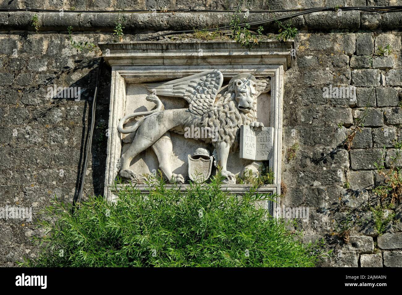 Rilievo medievale sulle mura della città di Cattaro Vecchio in Montenegro Foto Stock
