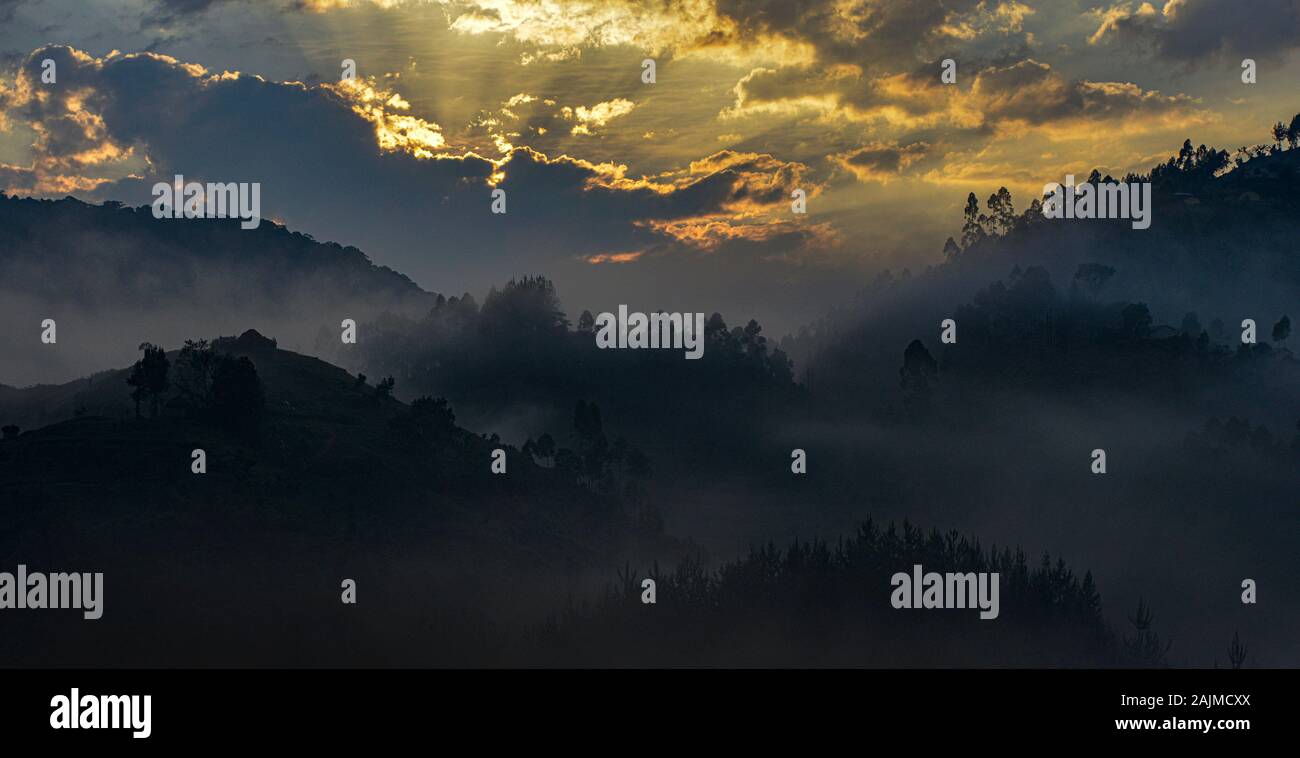 Tramonto nel Parco Nazionale di Bwindi Impenetrabile in Uganda. Foto Stock