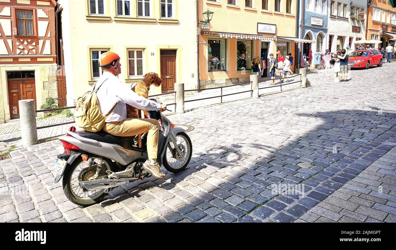 Il migliore amico dell'uomo prende un brivido della corsa con il suo proprietario su un motociclo, guidando attraverso il pittoresco borgo medievale di Rothenburg, Germania. Foto Stock