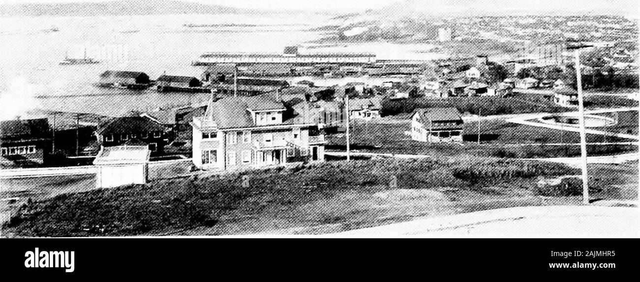 Opportunità di produzione nello stato di Washington . arison. Tre tipi di mercati OP. Mercati per i prodotti manufatti di Washington forse considerato sotto tliree capi-locali, nazionali e esteri.Tutte queste sono disponibili in un grado maggiore o minore, a secondadella la natura del prodotto. Come un esempio, prendere il casodi il nostro più grande industrv, legname. La quantità di prodotto di themills, in particolare per quelli più piccoli, è consumata localmente in thecommunities direttamente adiacente al mills. In realtà ci aresome laminatoi che tagliare legname solo per il commercio locale. Altri mulini mantenere legname yar Foto Stock