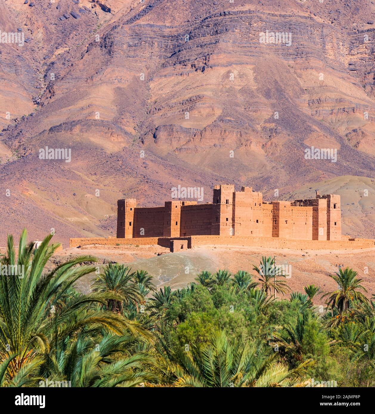 Timiderte Kasbah, Valle di Draa, Marocco Foto Stock