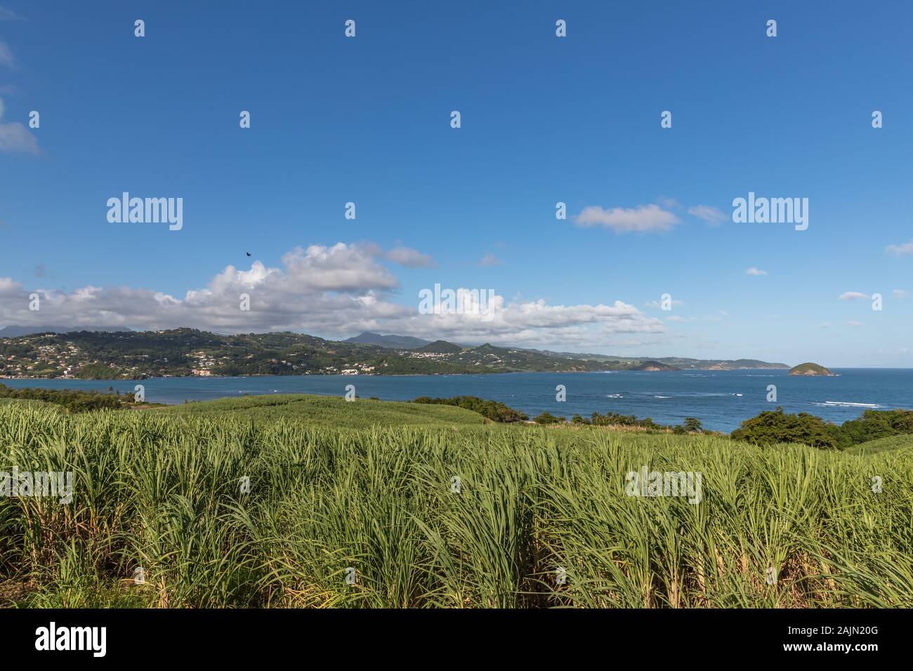 Vista del villaggio Trinite attraverso la baia in Martinica, Francia Foto Stock