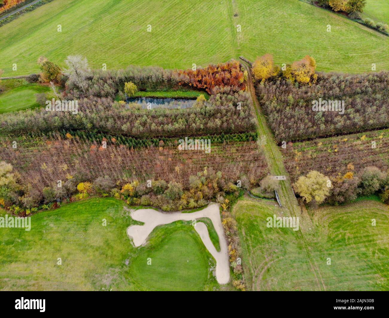 Vista aerea di un campo da golf. Alberi colorati e corso verde durante la stagione autunnale nel Sud del Belgio, Brabante Vallone. Foto Stock