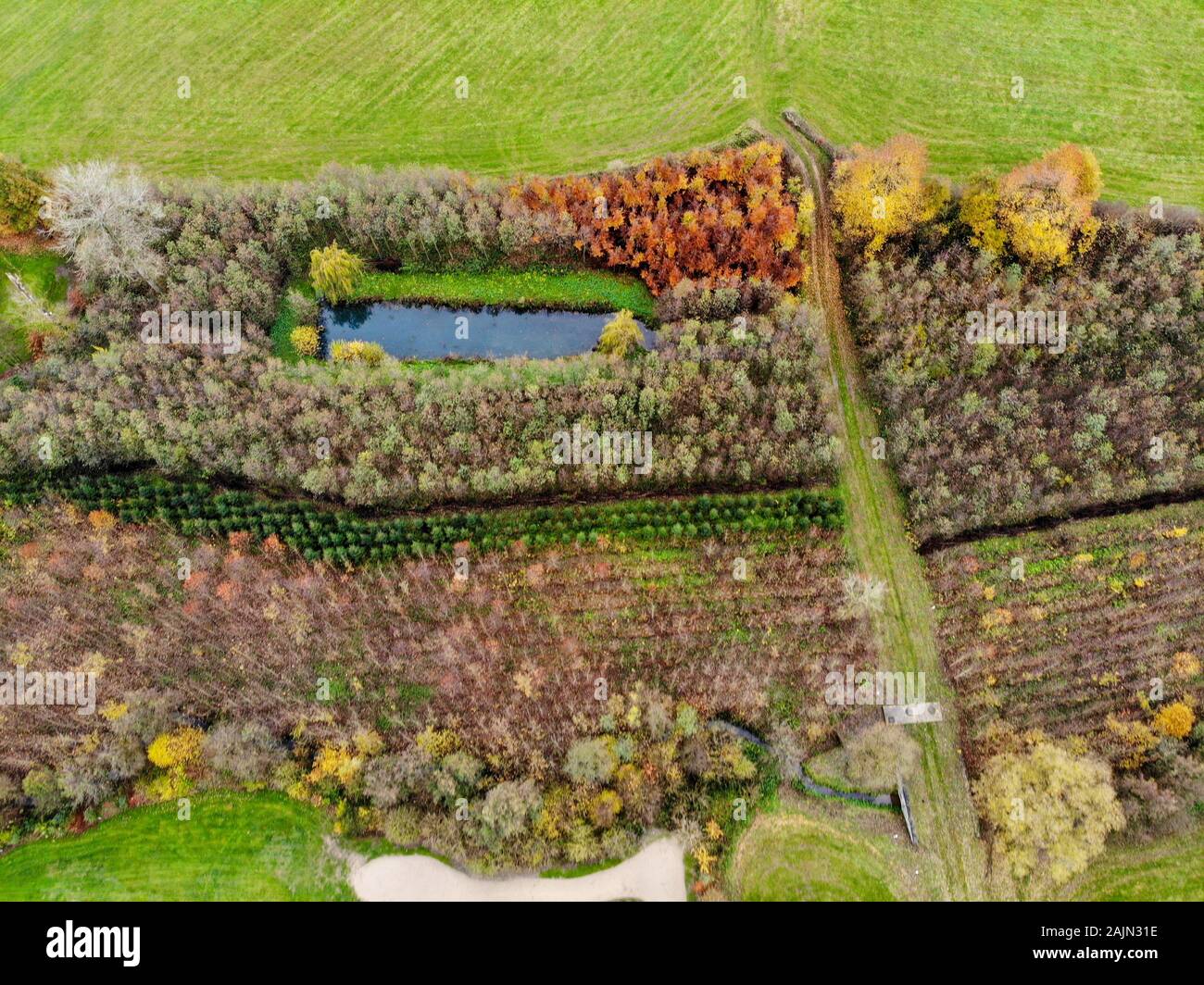 Vista aerea di un campo da golf. Alberi colorati e corso verde durante la stagione autunnale nel Sud del Belgio, Brabante Vallone. Foto Stock