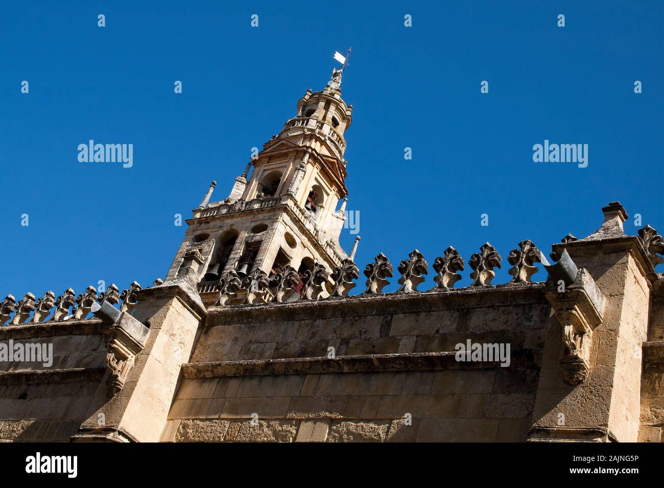 Cordoba Spagna, guardando verso la moschea-cattedrale campanile Foto Stock