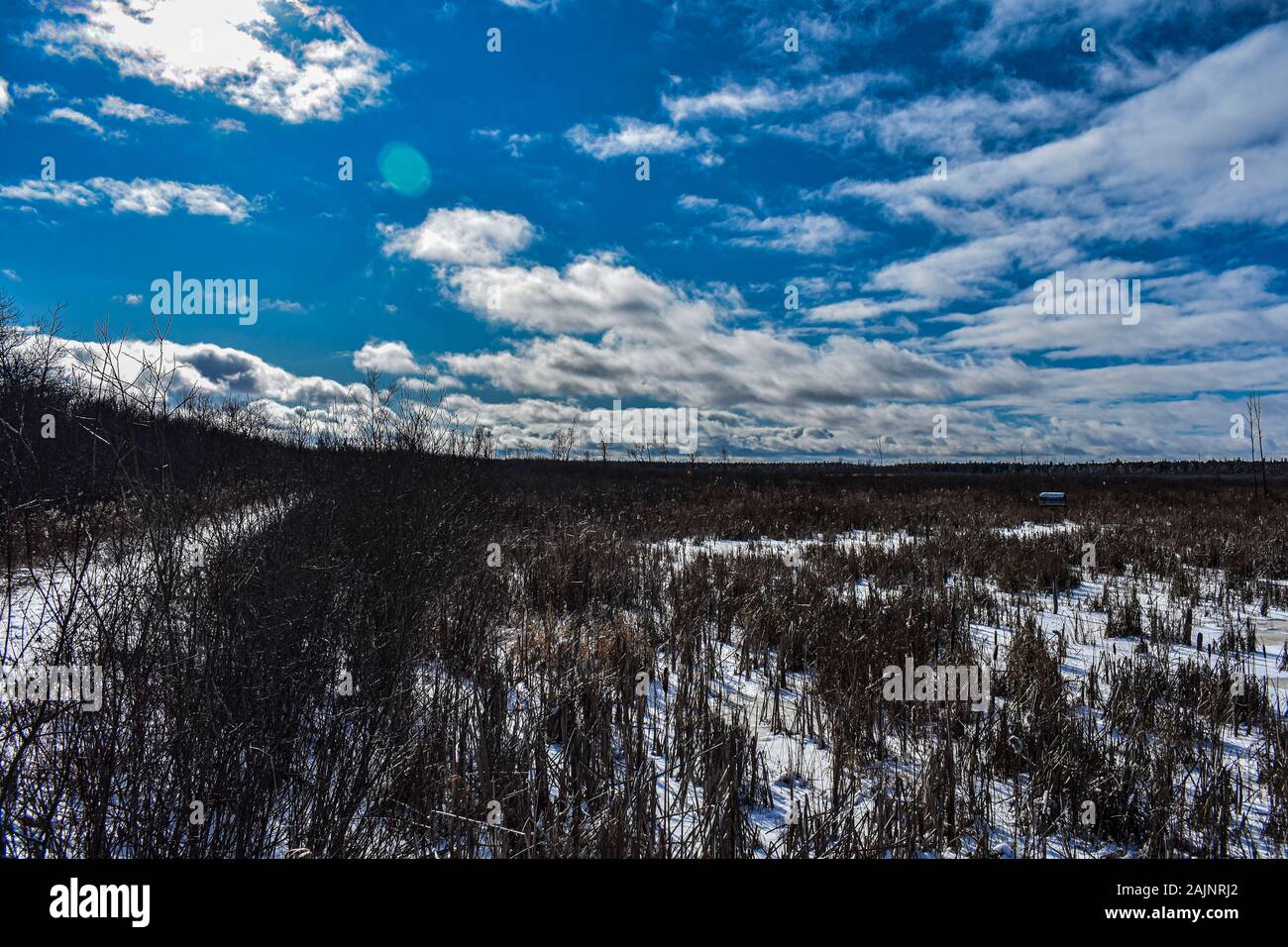 bellissimo paesaggio di terra in inverno Foto Stock