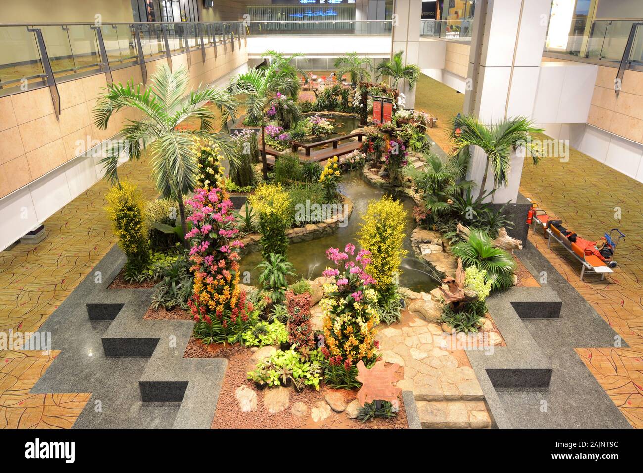 Singapore - 5 Marzo 2018 - Un giardino di orchidee e koi pond accogliere i viaggiatori in Singapore rinomate in tutto il mondo dall'Aeroporto Changi Foto Stock