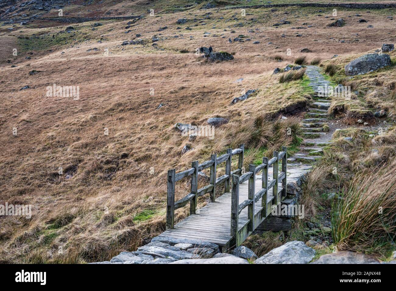 Una passerella di legno su un sentiero escursionistico nelle montagne di gallese a Snodonia Parco nazionale del Galles Foto Stock
