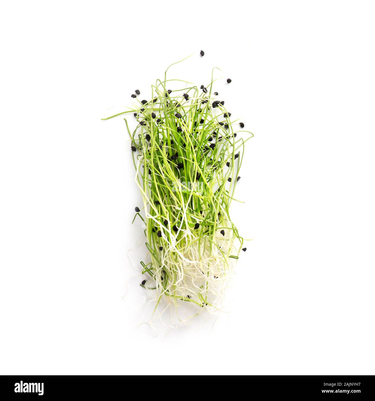 Produzione biologica microgreens isolati su sfondo bianco, spazio di copia Foto Stock