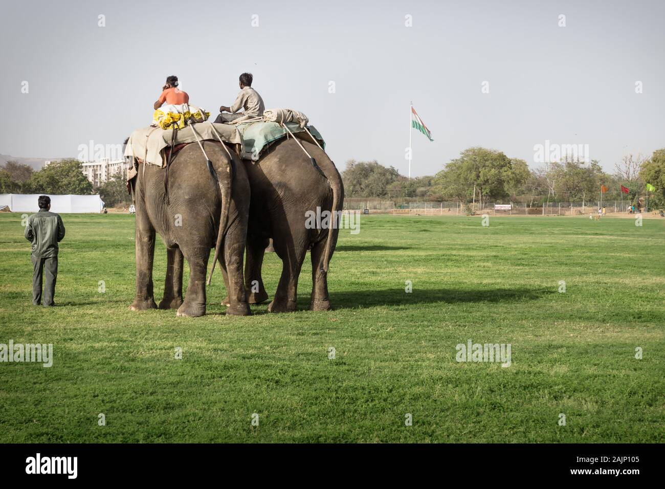 Jaipur, Rajasthan, India - 7 Marzo 2012: due uomini su elefanti in Holi festival di elefante Foto Stock