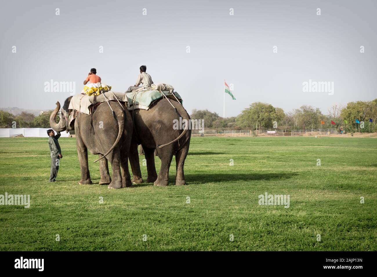 Jaipur, Rajasthan, India - 7 Marzo 2012: due uomini su elefanti sul polo campo in Holi festival di elefante Foto Stock