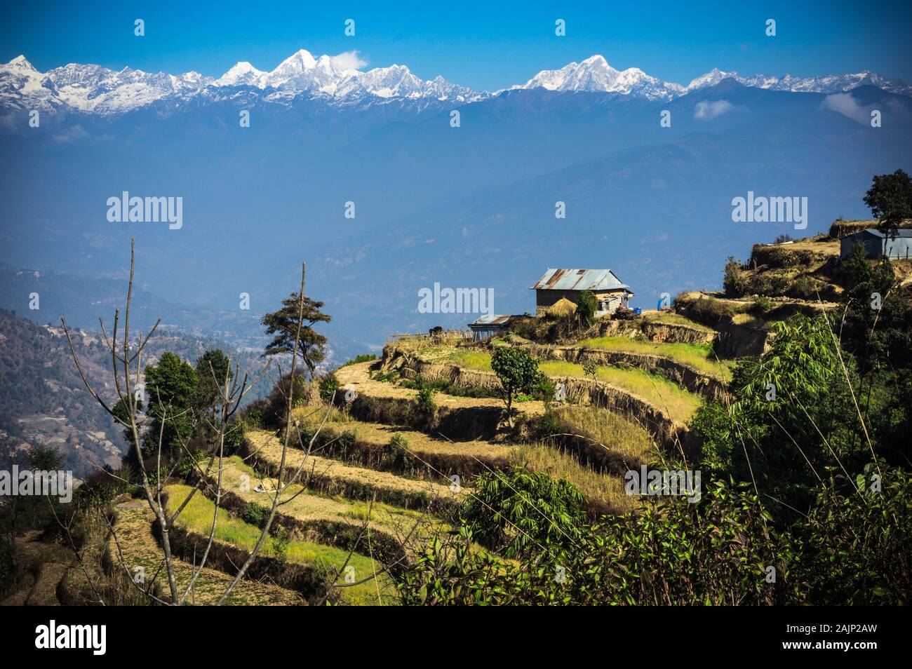 La gamma della montagna vista terrazza dietro le aziende agricole in Nagarkot, Nepal Foto Stock