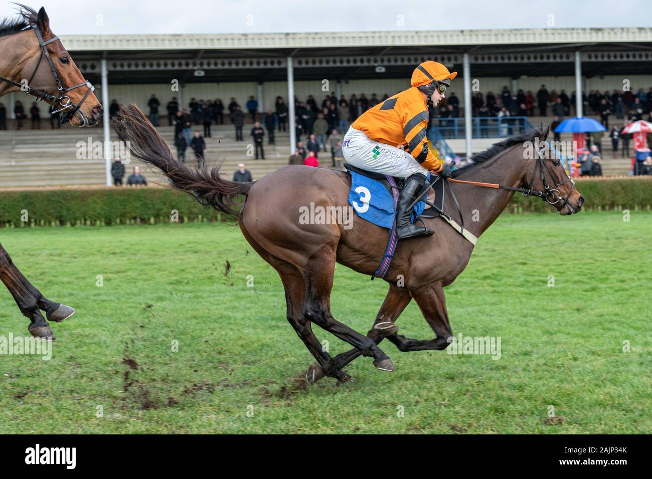 Il cavallo Molineaux, cavalcato da Jonjo O'Neill Jr e addestrati da Colin Tizzard, corse a vincere l'Handicap BoyleSports Steeple Chase a Wincanton Foto Stock