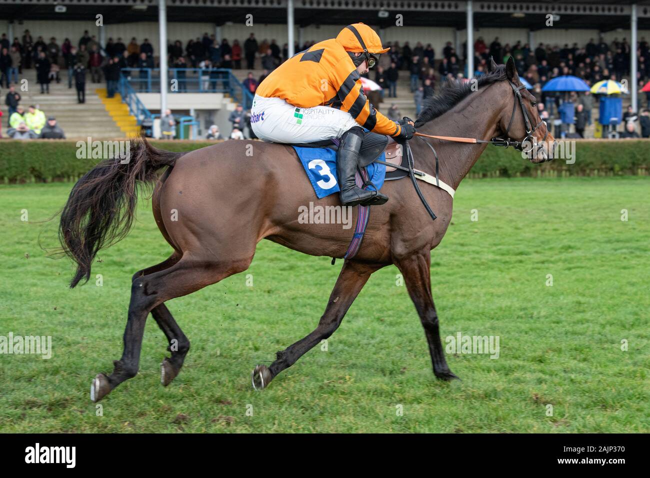 Il cavallo Molineaux, cavalcato da Jonjo O'Neill Jr e addestrati da Colin Tizzard, corse a vincere l'Handicap BoyleSports Steeple Chase a Wincanton Foto Stock