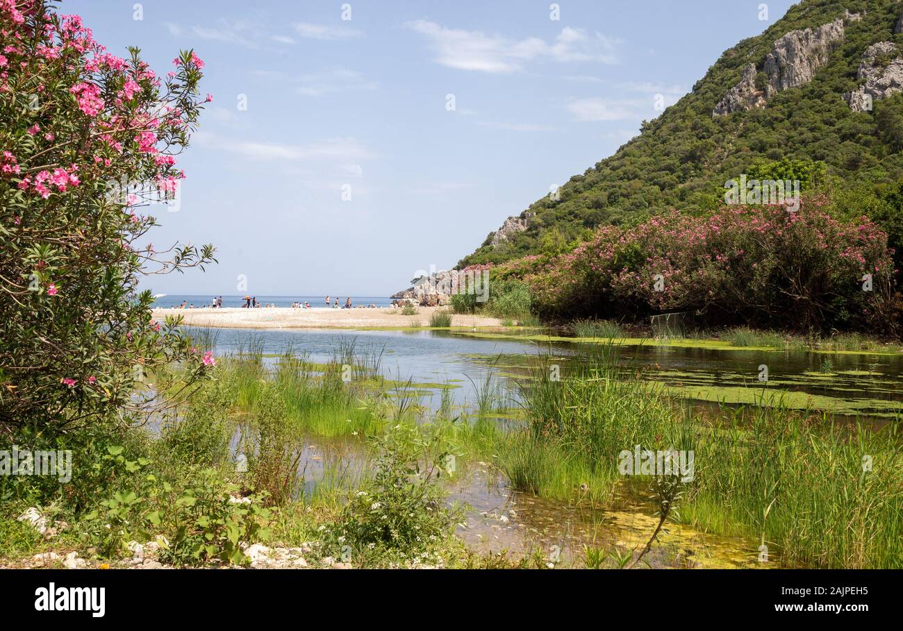 Rovine dell'antica città di Olympos nel villaggio di Cirali ad Antalya, Turchia Foto Stock