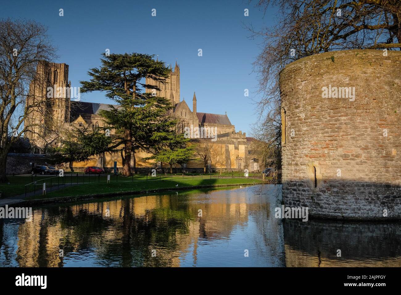 Cattedrale di Wells e il Palazzo del Vescovo, pozzi, Somerset, Regno Unito Foto Stock