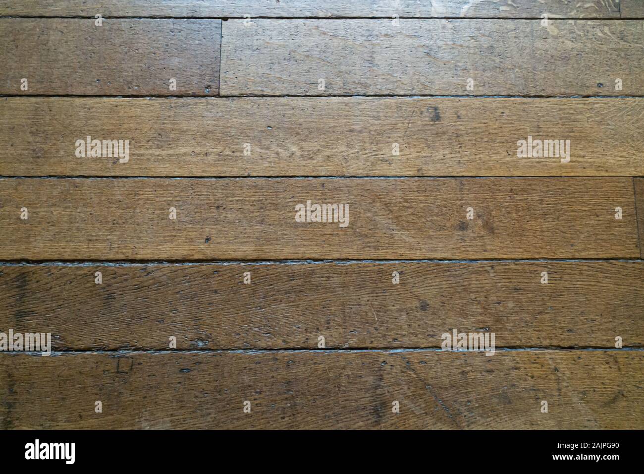 Struttura di un pavimento in legno di quercia Foto Stock