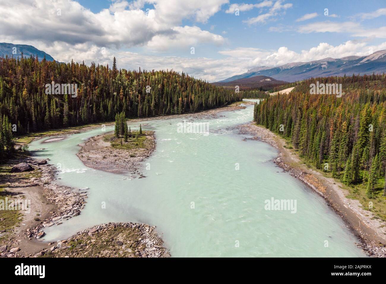 Vista aerea del Fiume Bow in estate nel Parco Nazionale di Banff, Alberta, Canada. Foto Stock