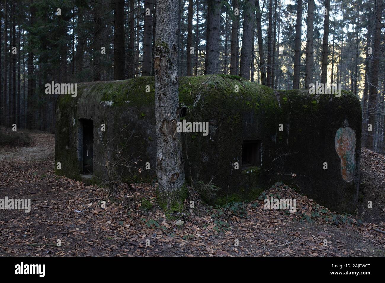 Bunker dalla prima guerra mondiale sul confine della Repubblica ceca e Germania Foto Stock