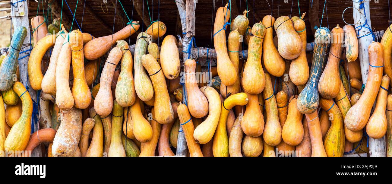 La zucca appesi a funi in Marocco Foto Stock