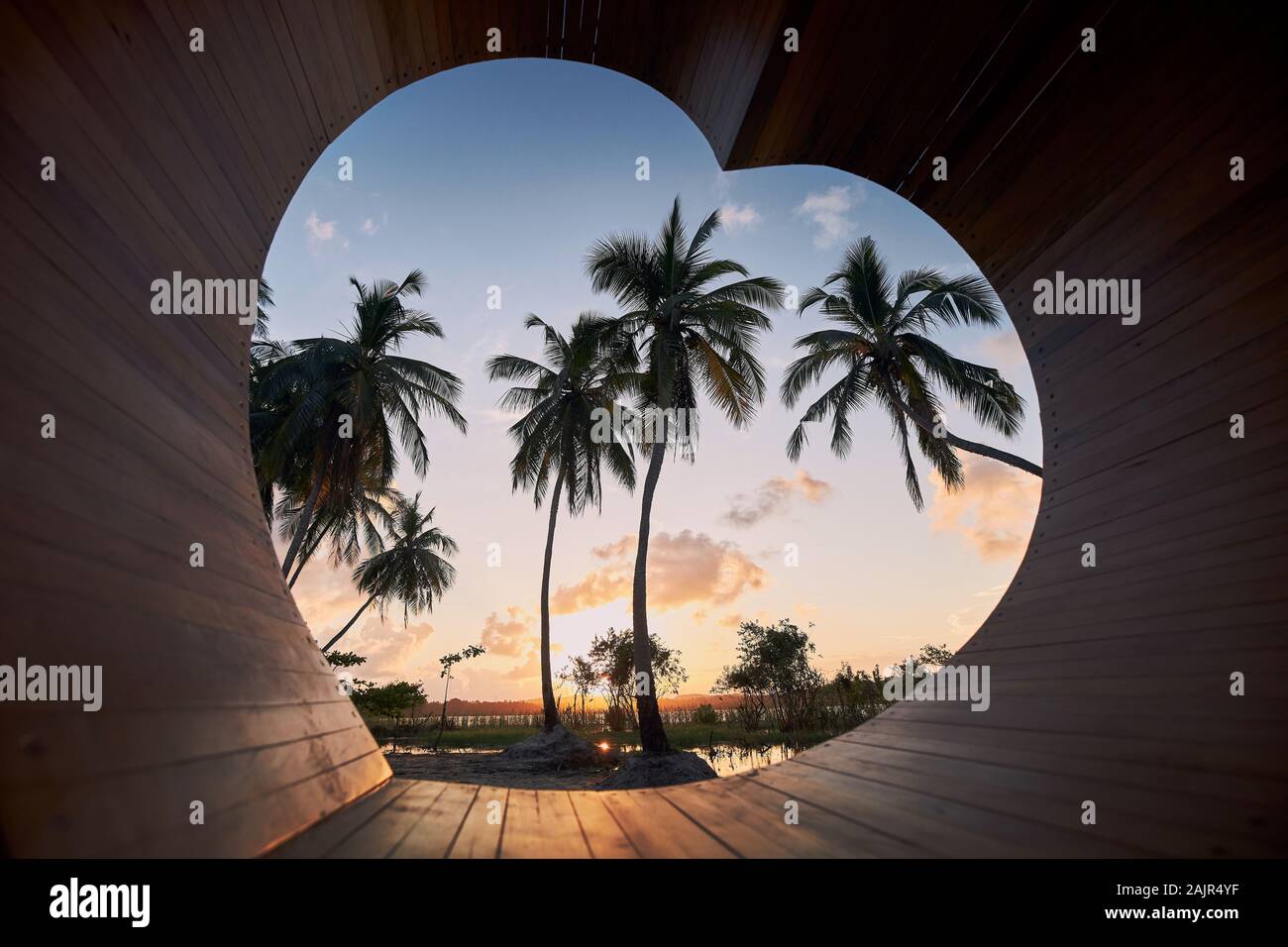Vista del paesaggio attraverso il cuore di legno. Palm tree vicino a laguna al tramonto in Sri Lanka. Foto Stock