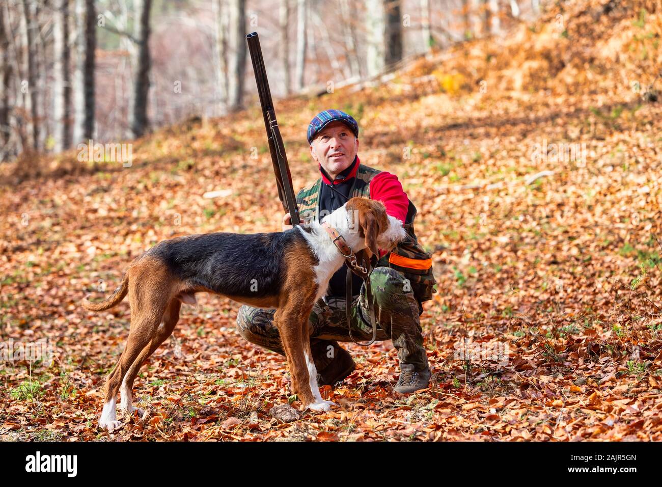 Cacciatore con arma e cane da caccia a caccia nella foresta Foto Stock