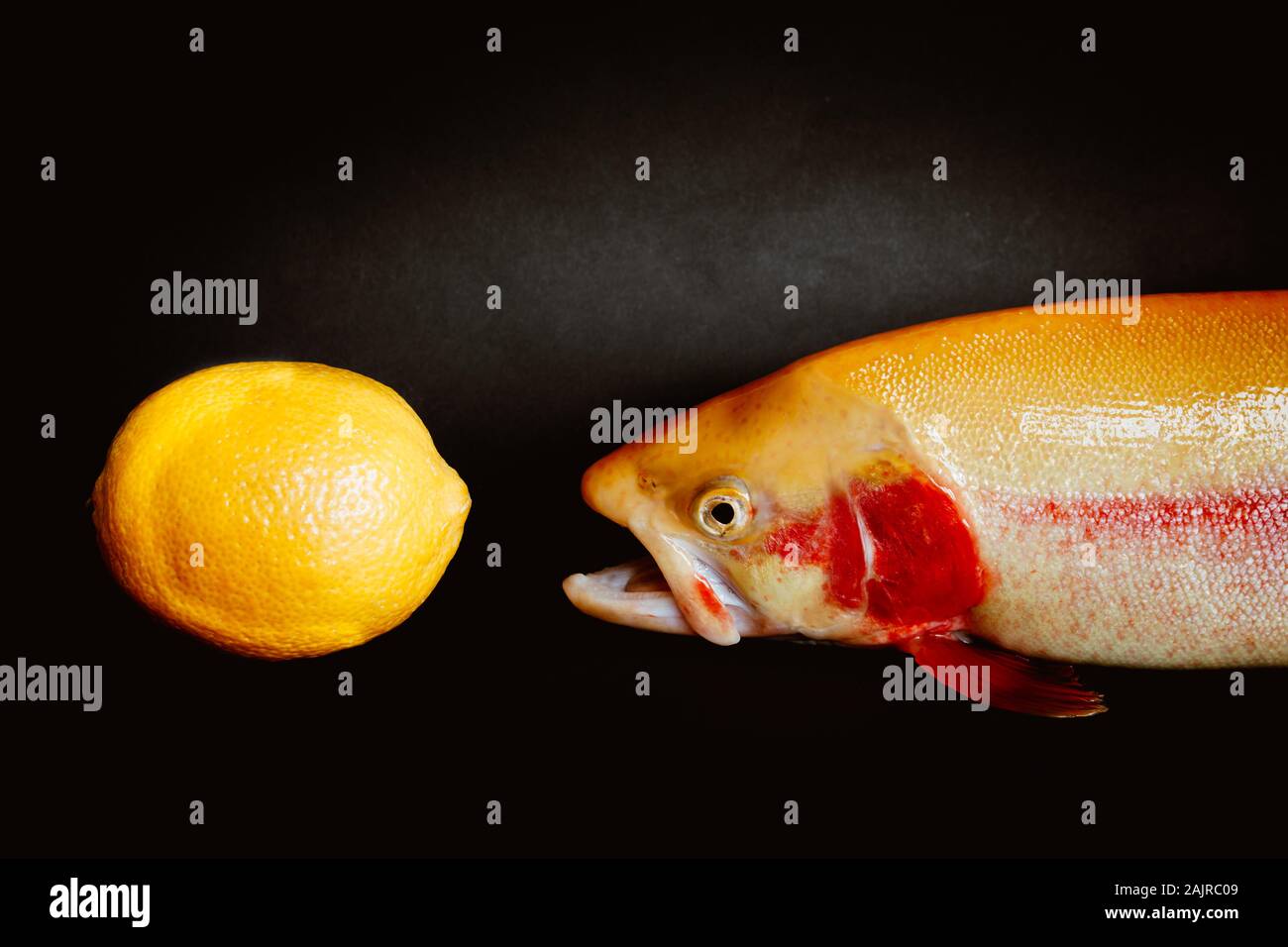 Freschi di trota dorata e un limone Foto Stock