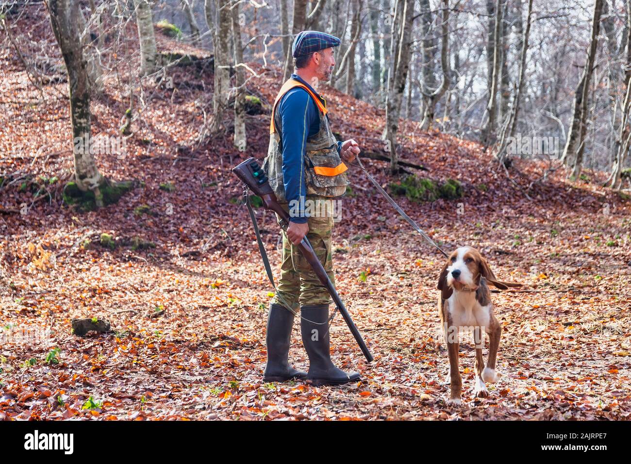 Cacciatore con arma e cane da caccia a caccia nella foresta Foto Stock