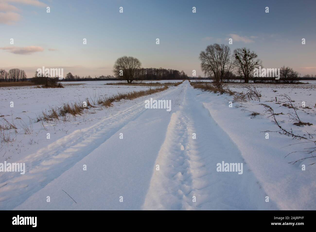 Tracce di ruote nella neve sulla strada di un paese Foto Stock