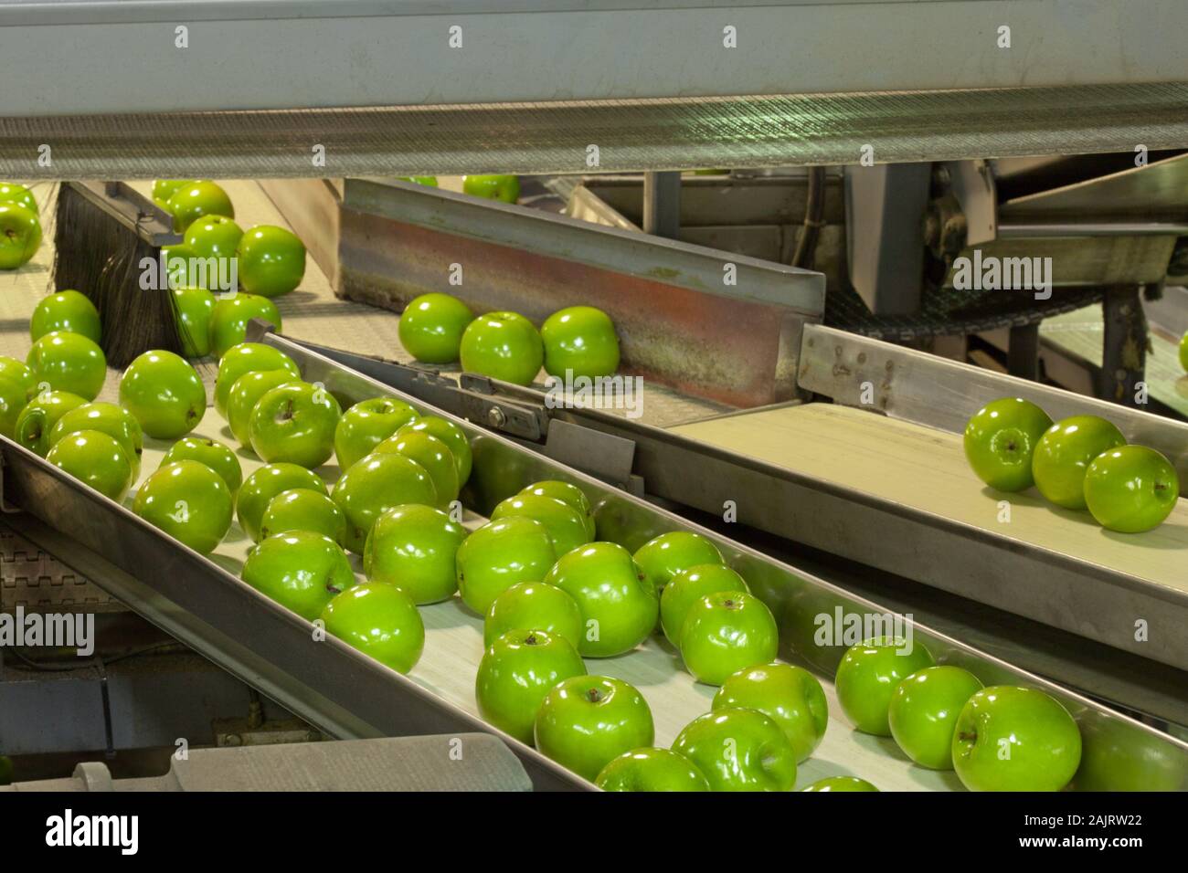 Fresco, verde le mele Granny Smith in un frutto magazzino di confezionamento Foto Stock