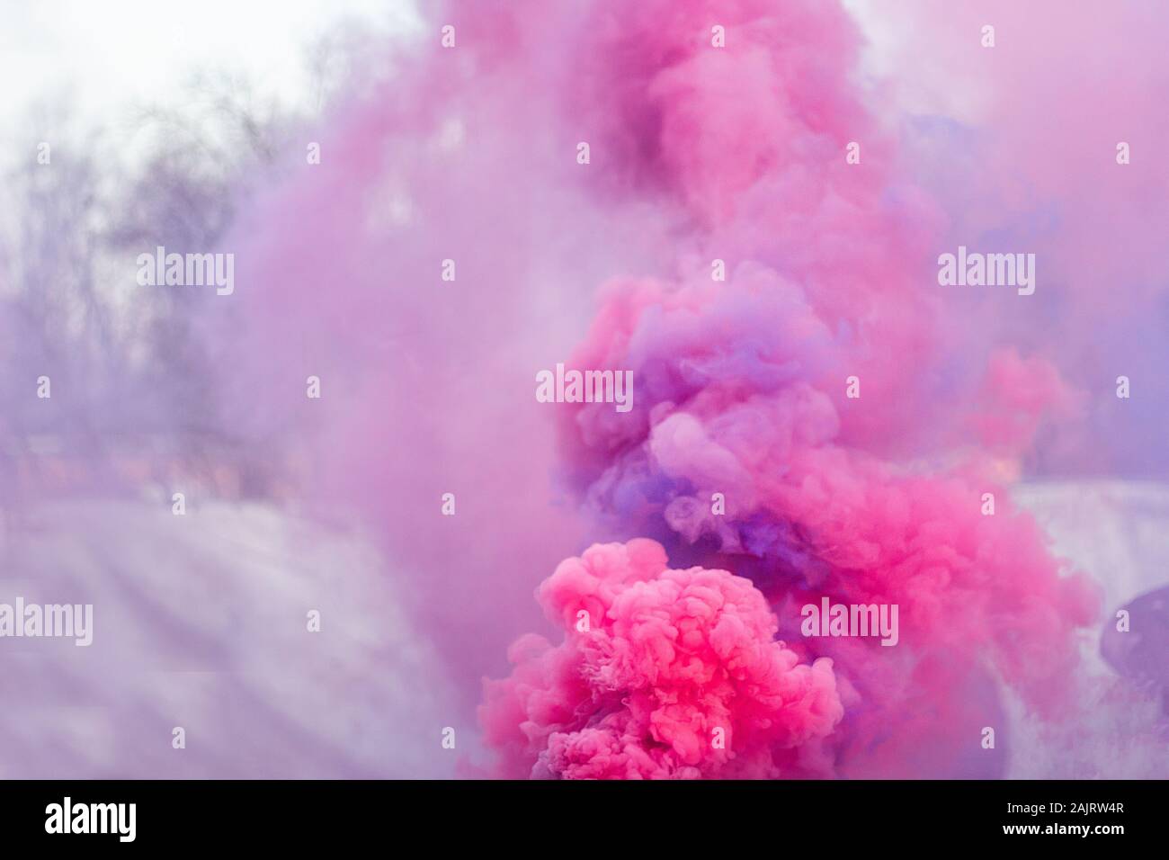 Rosa e viola fumo colorato bombe festival Foto Stock