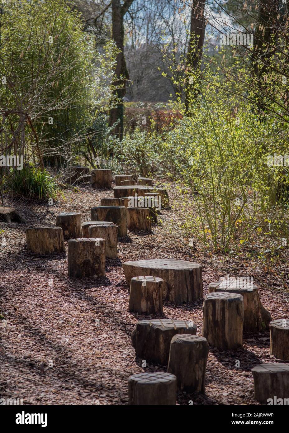 Pietre di stepping del legno che fanno parte di un'area di gioco esterna a RHS Rosemoor a Torrington, Devon per gli adulti ed i bambini giocare sopra Foto Stock