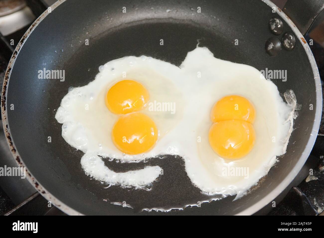 Un vassoio di doppio tuorlo delle uova. Un doppio tuorlo si verifica quando un pollo rilascia due tuorli nello stesso scafo, usualmente prodotta da polli giovani i cui sistemi riproduttivi non hanno ancora raggiunto la piena maturazione. Doppio tuorli possono provenire anche da vecchi polli quasi alla fine del loro uovo produzione di periodo. Foto Stock