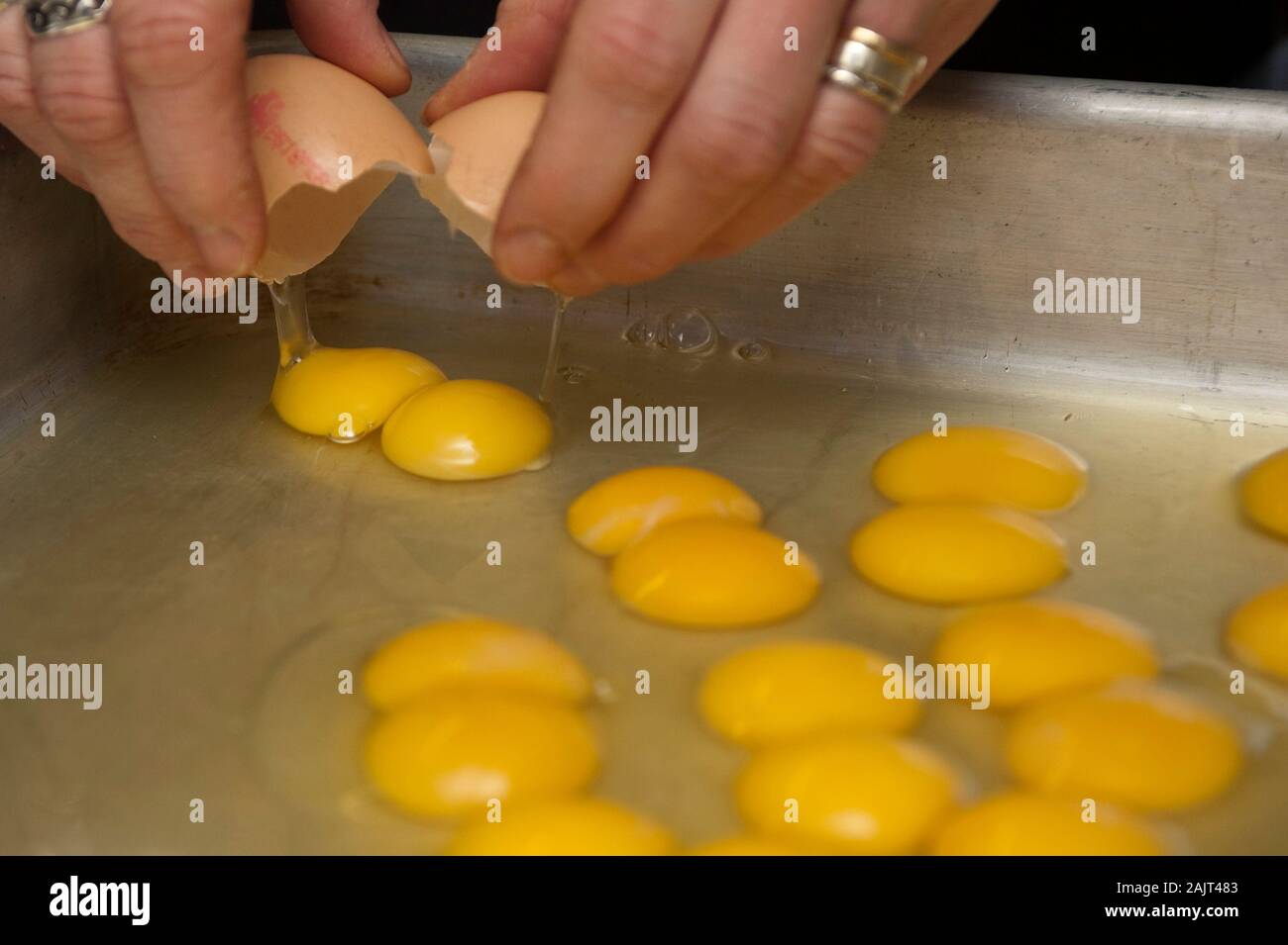Un vassoio di doppio tuorlo delle uova. Un doppio tuorlo si verifica quando un pollo rilascia due tuorli nello stesso scafo, usualmente prodotta da polli giovani i cui sistemi riproduttivi non hanno ancora raggiunto la piena maturazione. Doppio tuorli possono provenire anche da vecchi polli quasi alla fine del loro uovo produzione di periodo. Foto Stock