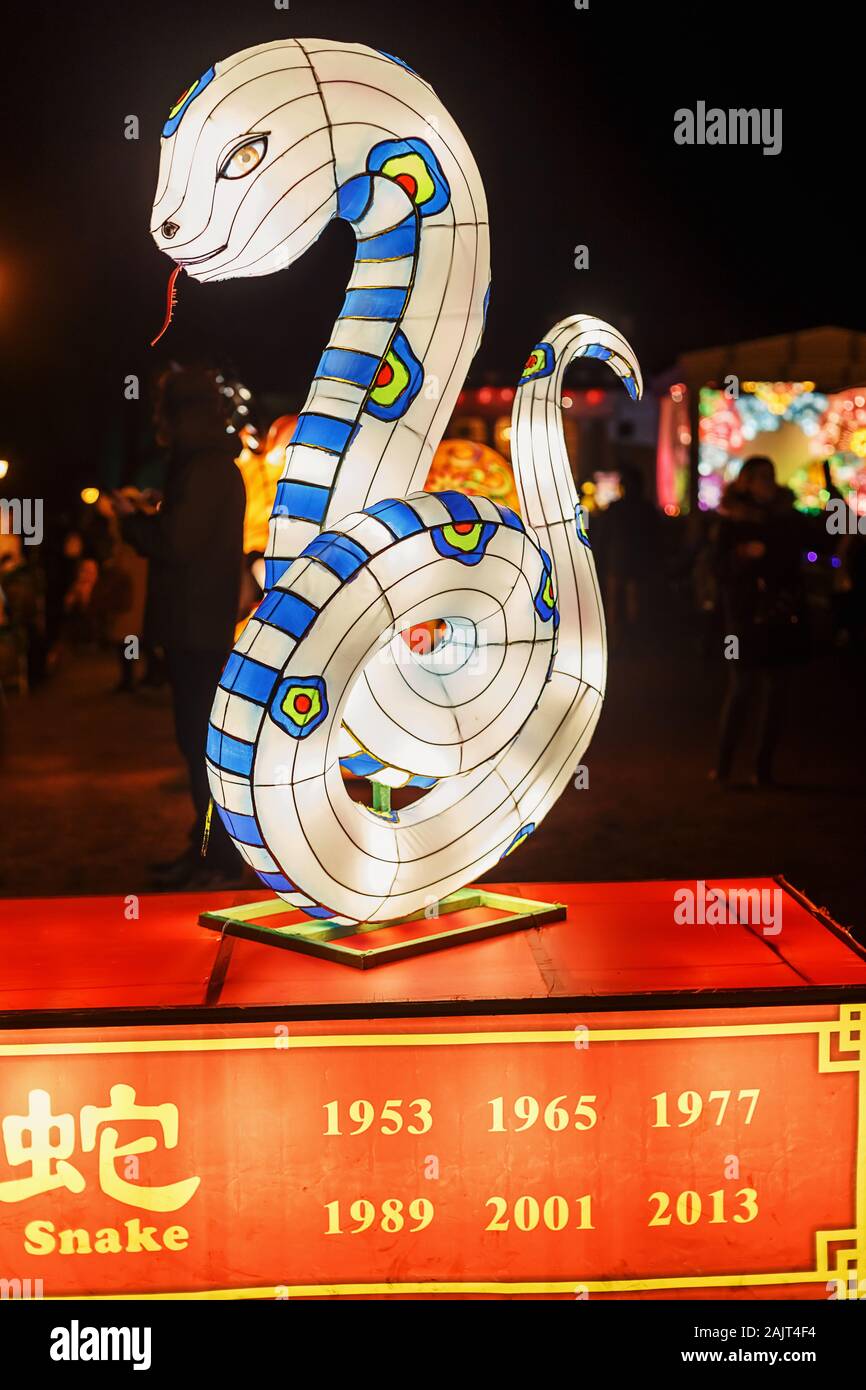 Serpente gigante lanterna della Cina, simbolo dello zodiaco. Festival della luce in Pakruojis Manor, Lituania Foto Stock