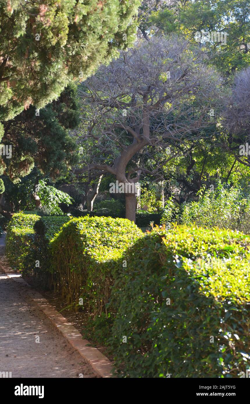 Il XIX secolo i giardini in stile neoclassico di Montfort a Valencia, Spagna Foto Stock