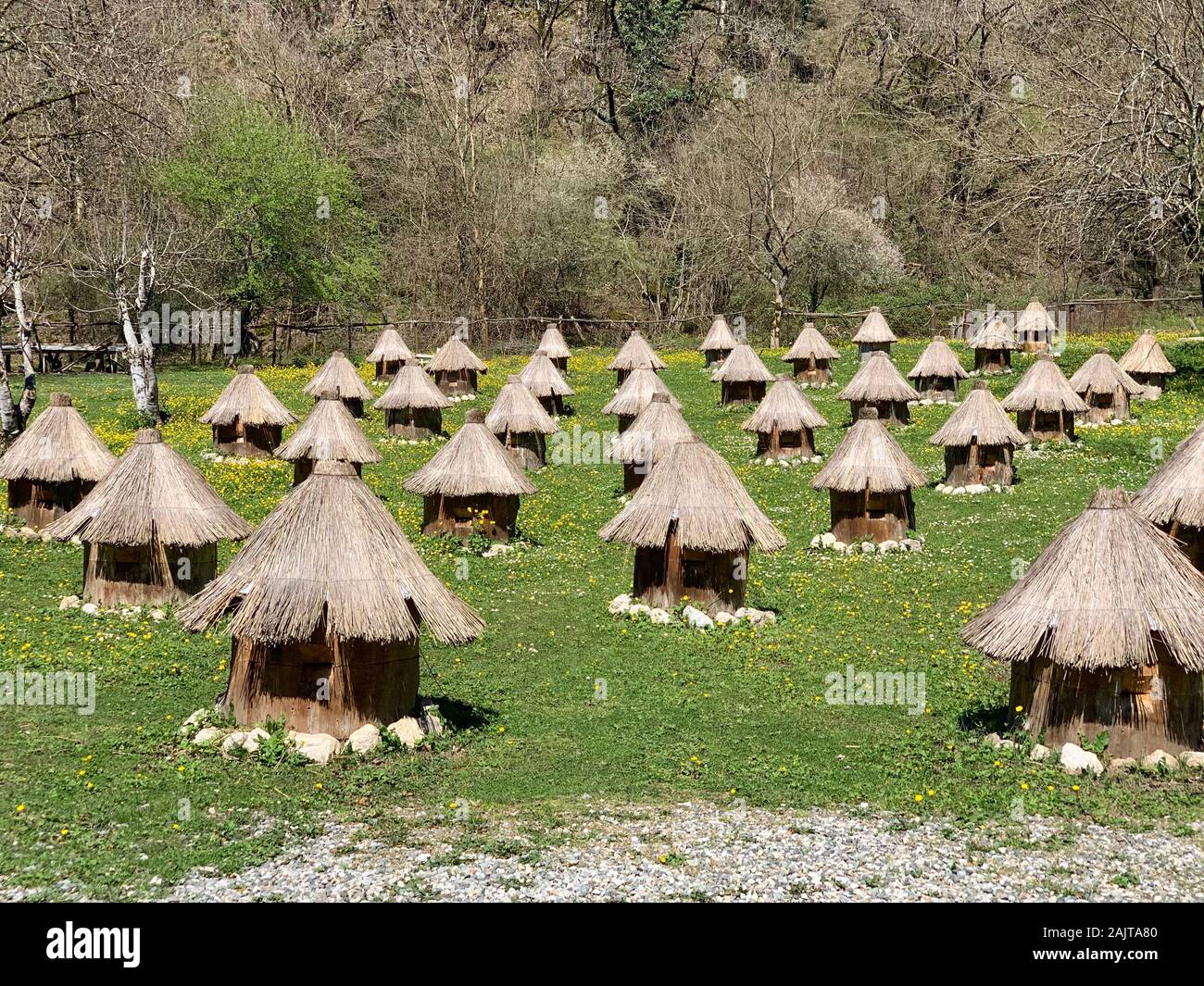 Bee hive in forma di case su erba verde Foto Stock