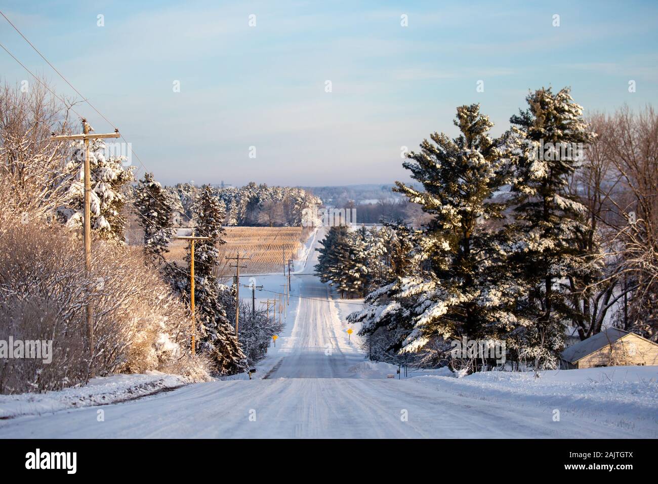 Neve profonda coperto campo di mais in Wisconsin centrale che non è stato ancora raccolto su Gennaio 1, 2020 a causa della wet in autunno e la prima neve di 2019 Foto Stock