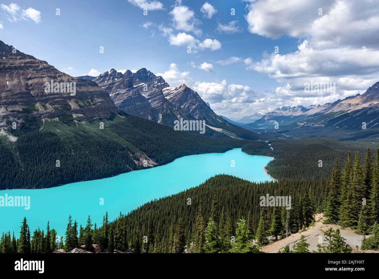 Il Lago Peyto durante l'estate nel Parco Nazionale di Banff, Canadian Rockies, Alberta, Canada Foto Stock