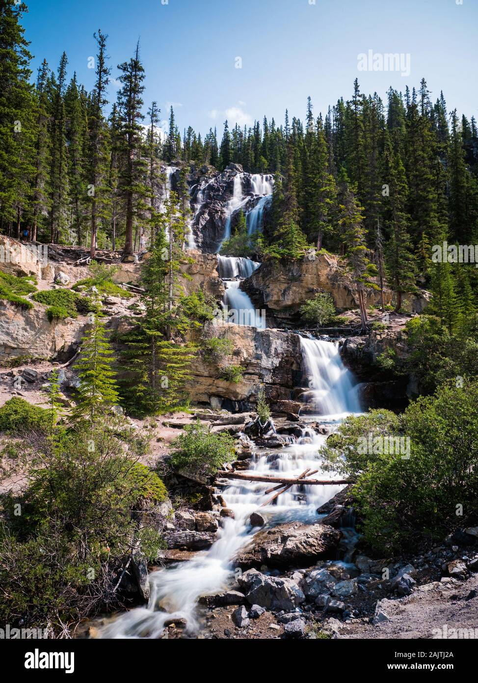 Groviglio Creek Falls durante l'estate nel Parco Nazionale di Jasper, Canadian Rockies, Alberta, Canada. Foto Stock