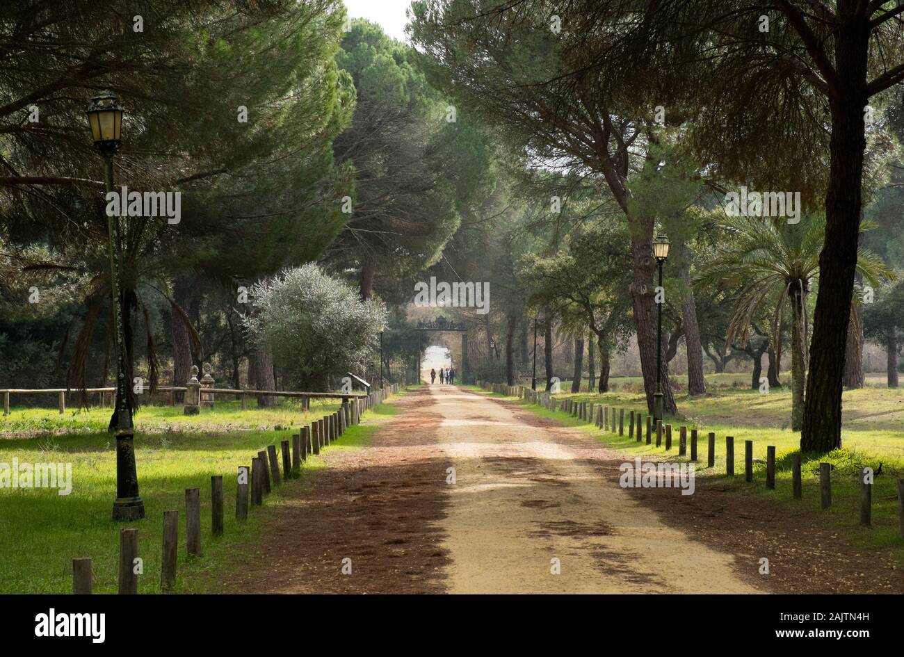 Percorso a La Parco Nazionale di Doñana, provincia di Huelva, Spagna Foto Stock