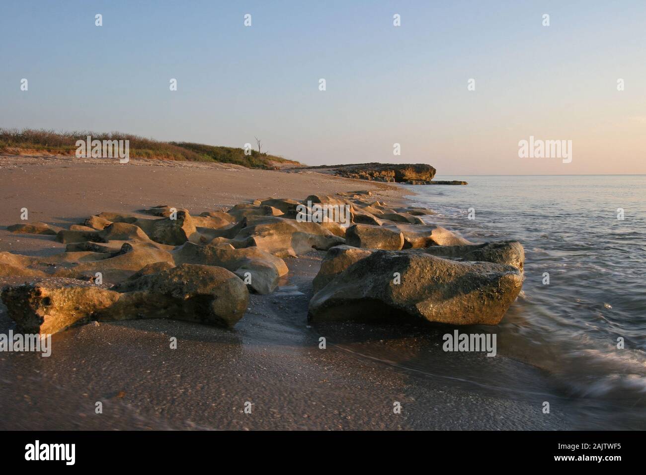 Anastasia calcare affiorante in rocce di soffiaggio preservare sull isola di Jupiter, Florida il chiaro mattina senza nuvole a bassa marea. Foto Stock