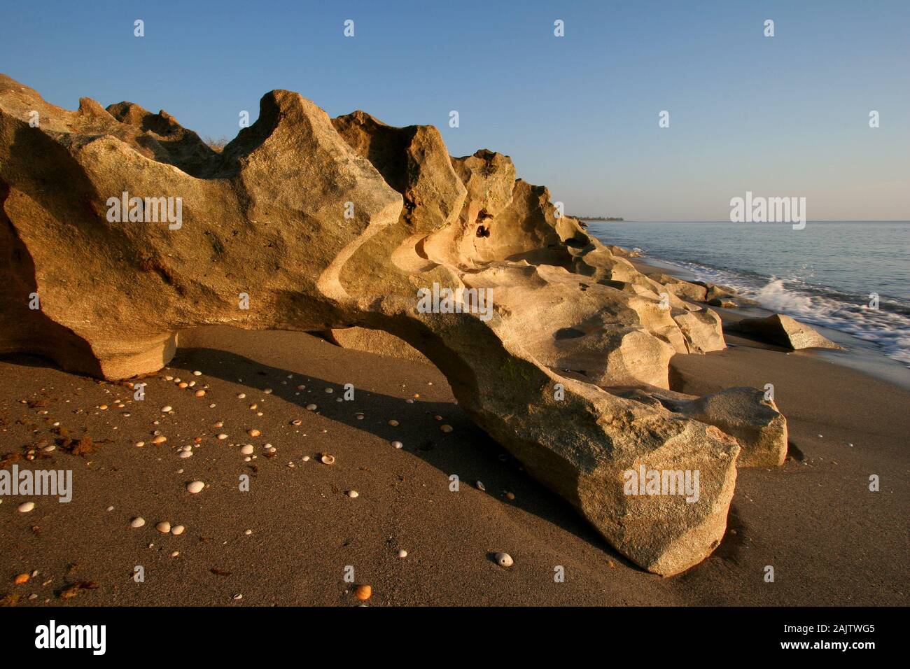Anastasia calcare affiorante in rocce di soffiaggio preservare sull isola di Jupiter, Florida il chiaro mattina senza nuvole a bassa marea. Foto Stock