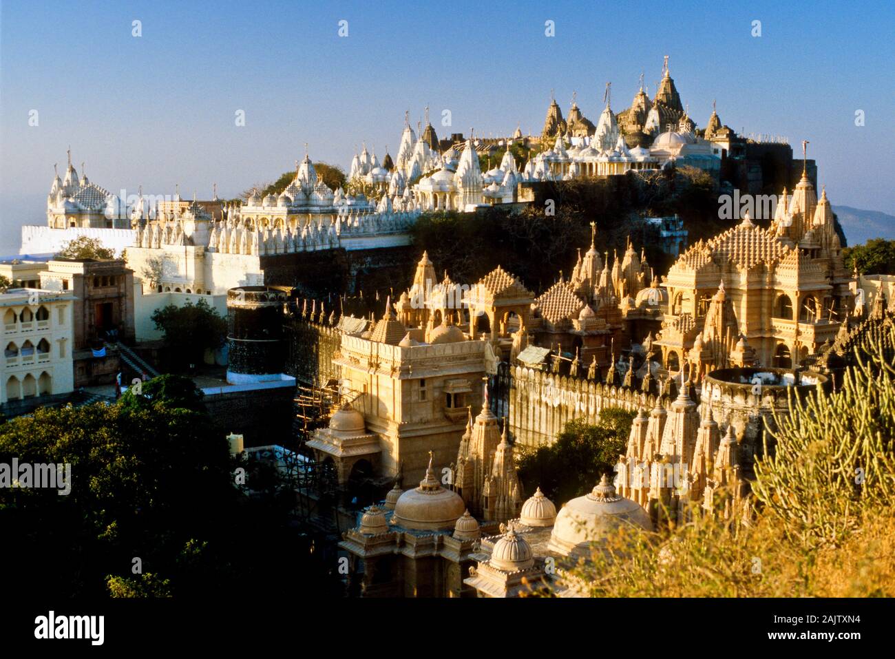 Shatrunjaya, Indias luogo santissimo per Jains con oltre 850 templi sulla cima di una collina Foto Stock