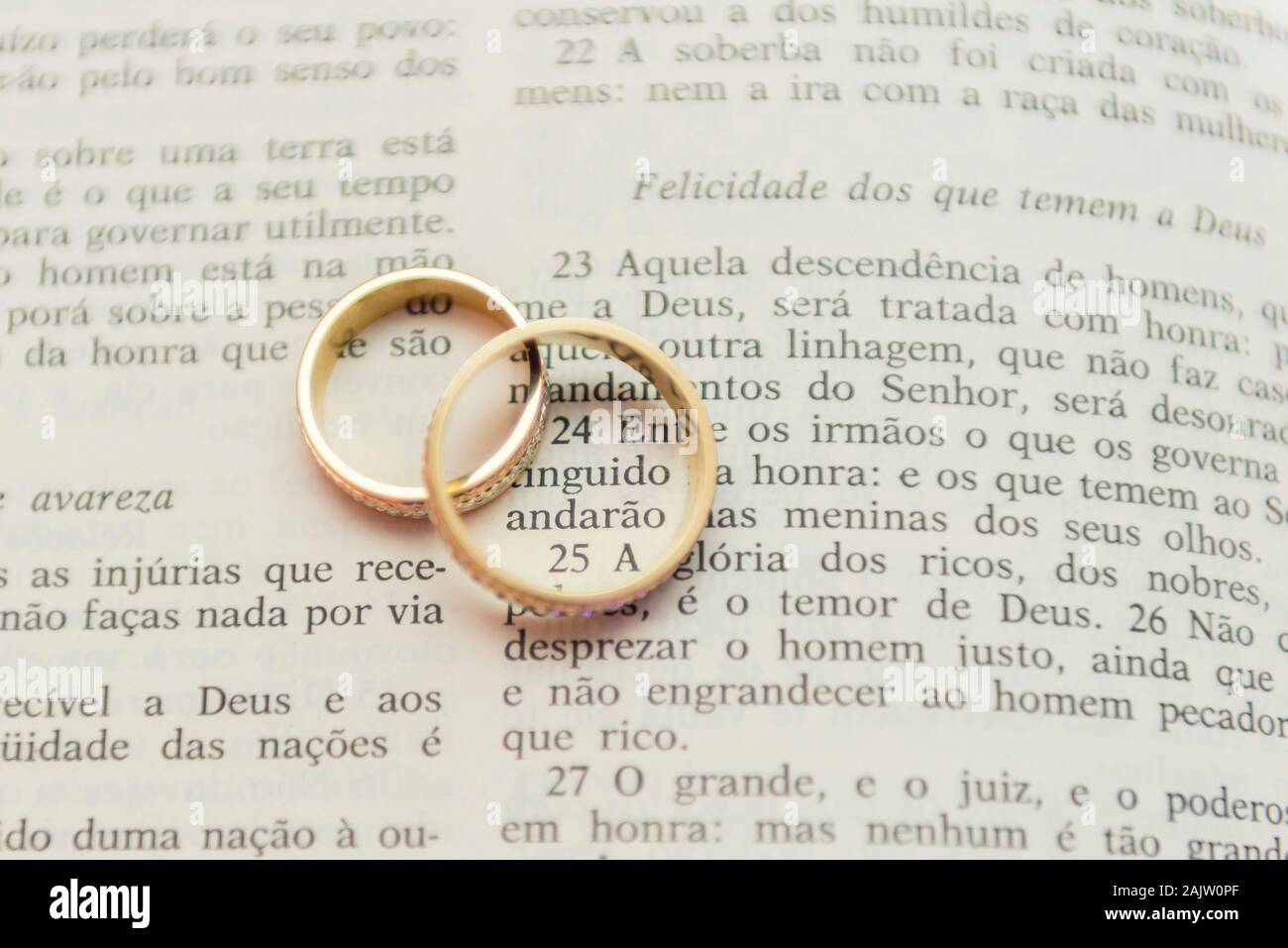 Gli anelli di nozze su una Sacra Bibbia 'Bíblia Sagrada'. Concetto di unione, amore, amicizia e fedeltà. Unione religiosa. Messa a fuoco selettiva. Foto Stock