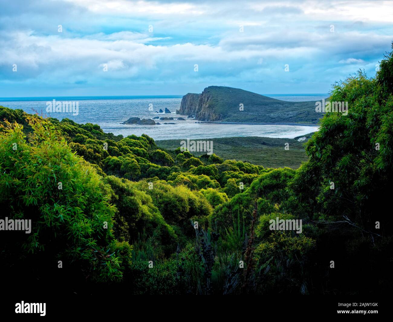Paesaggio in Brunny Island in Tasmania, bella prenotazione nazionale in Australia. Il tramonto o l'alba con la foresta e il mare con splendido cl Foto Stock