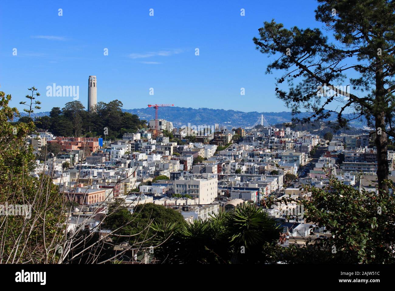 Coit Tower, Telegraph Hill, e North Beach da Russian Hill, San Francisco, California Foto Stock