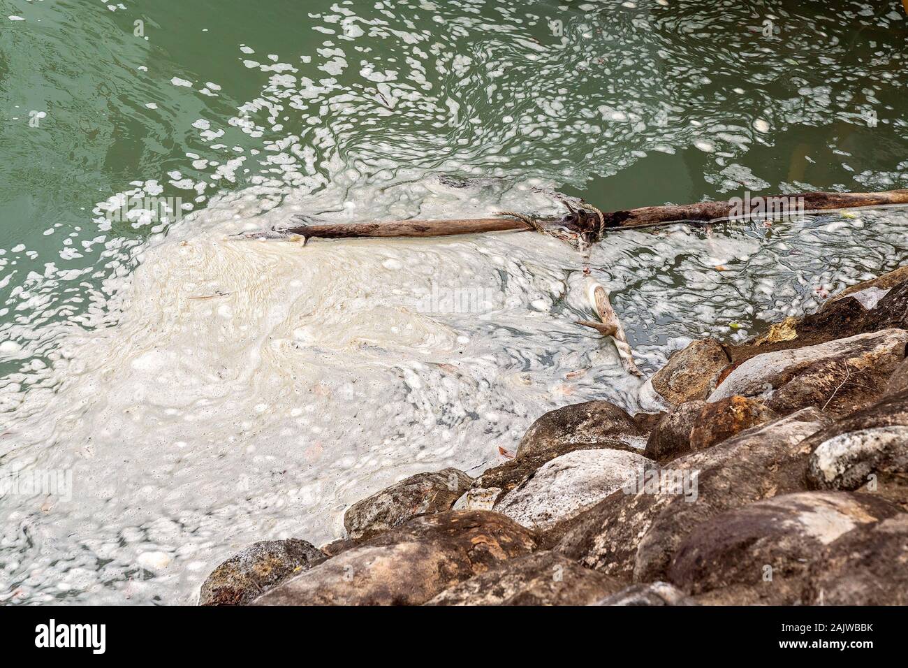 Schiumoso vorticoso dell'acqua contro le rocce con un albero morto ramo e corda floating vicino alla riva Foto Stock
