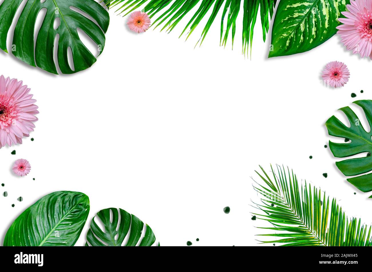 Lascia lo sfondo bianco con foglie verdi e fiori flatlay Foto Stock